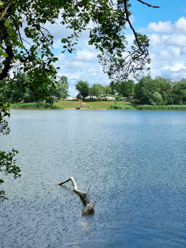 Seecamp am Oderbruch — Foto 4