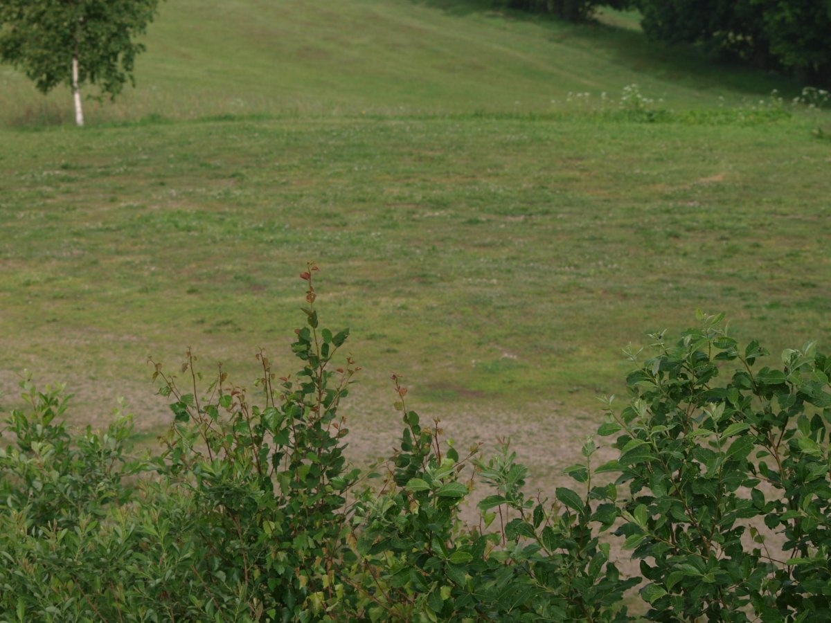 Campingpark Seiffenffen — Campingplatz in Seiffen/Erzgebirge