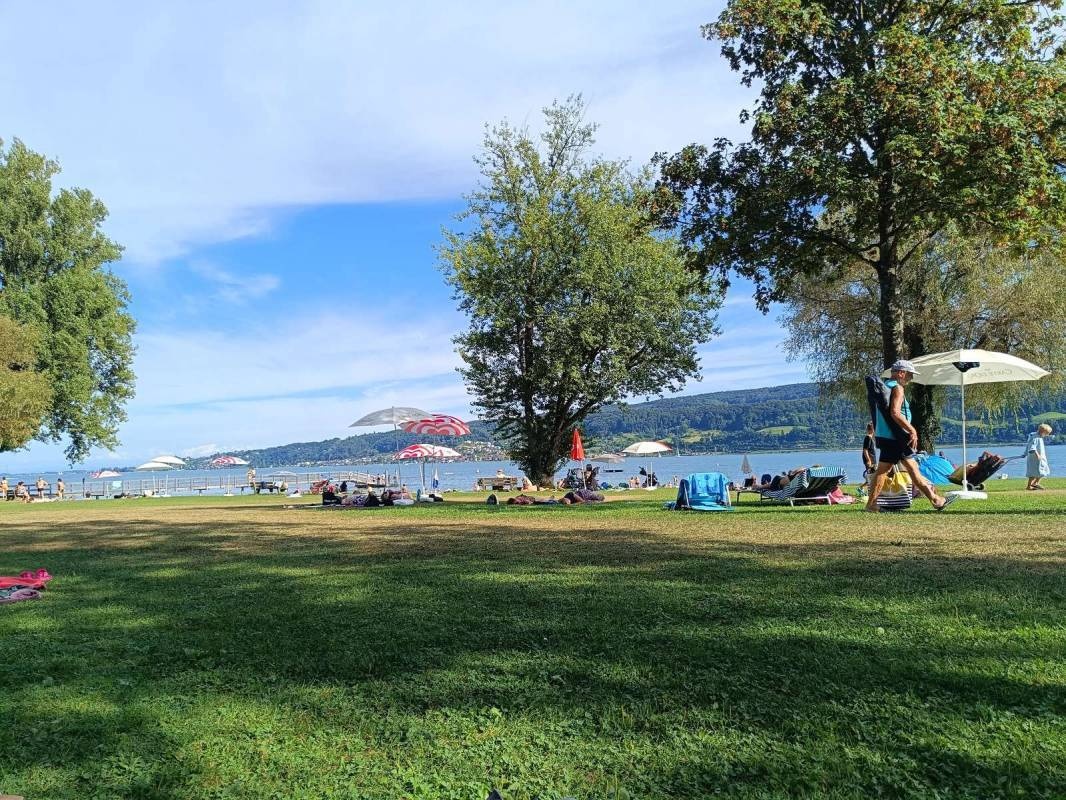 Campingplatz Horn — Area da campeggio in Gaienhofen/Horn / Baden-Württemberg