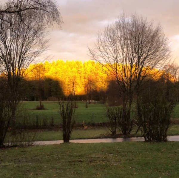 Bavaria Kur-Sport Camping Park — Photo 4