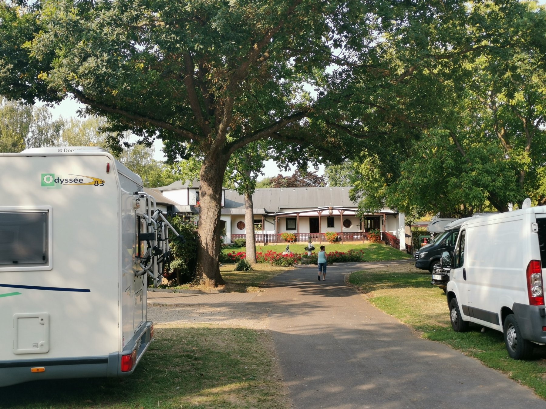 Campingplatz am Rhein — Camping in Rüdesheim am Rhein