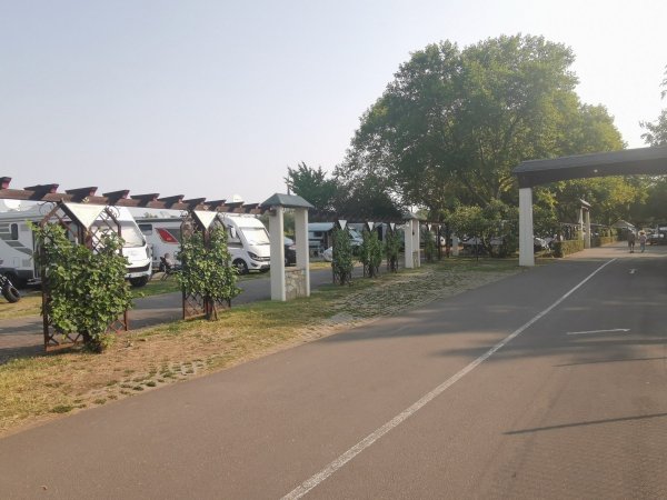 Campingplatz am Rhein — Photo 3