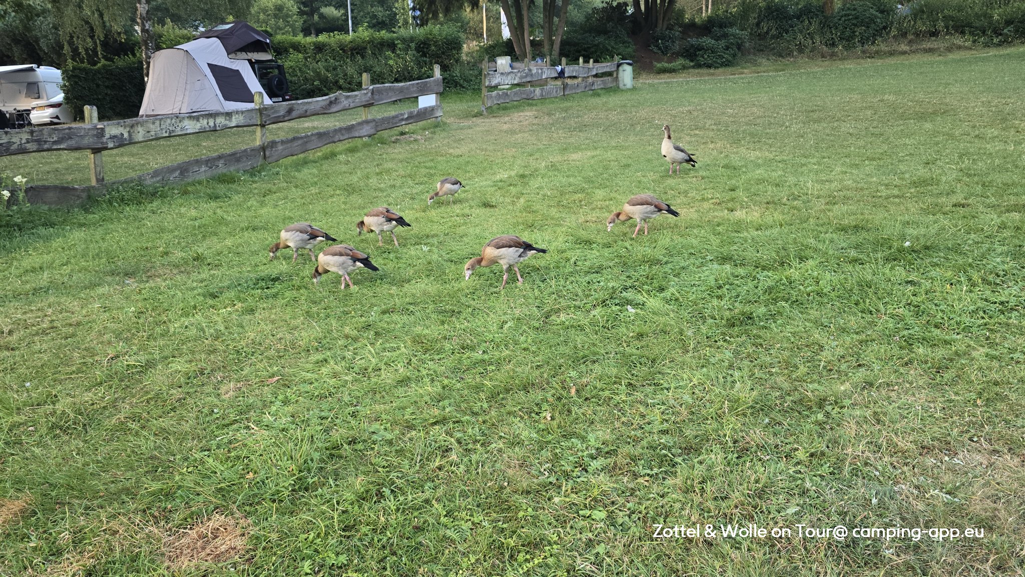 Camping Biggesee Kessenhammer — Foto 3