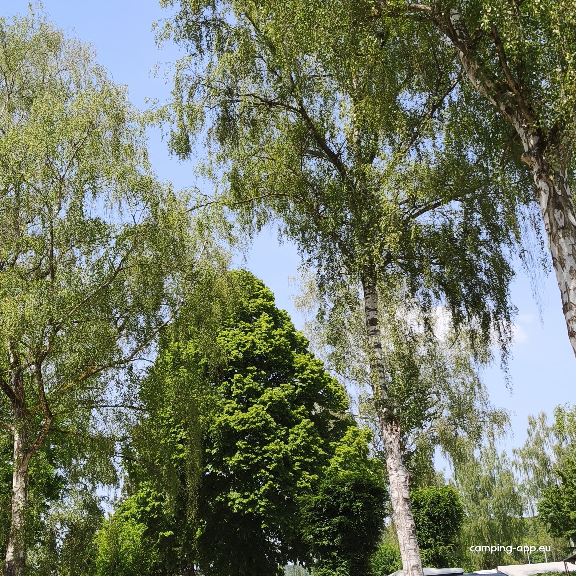International Camping — Foto 6