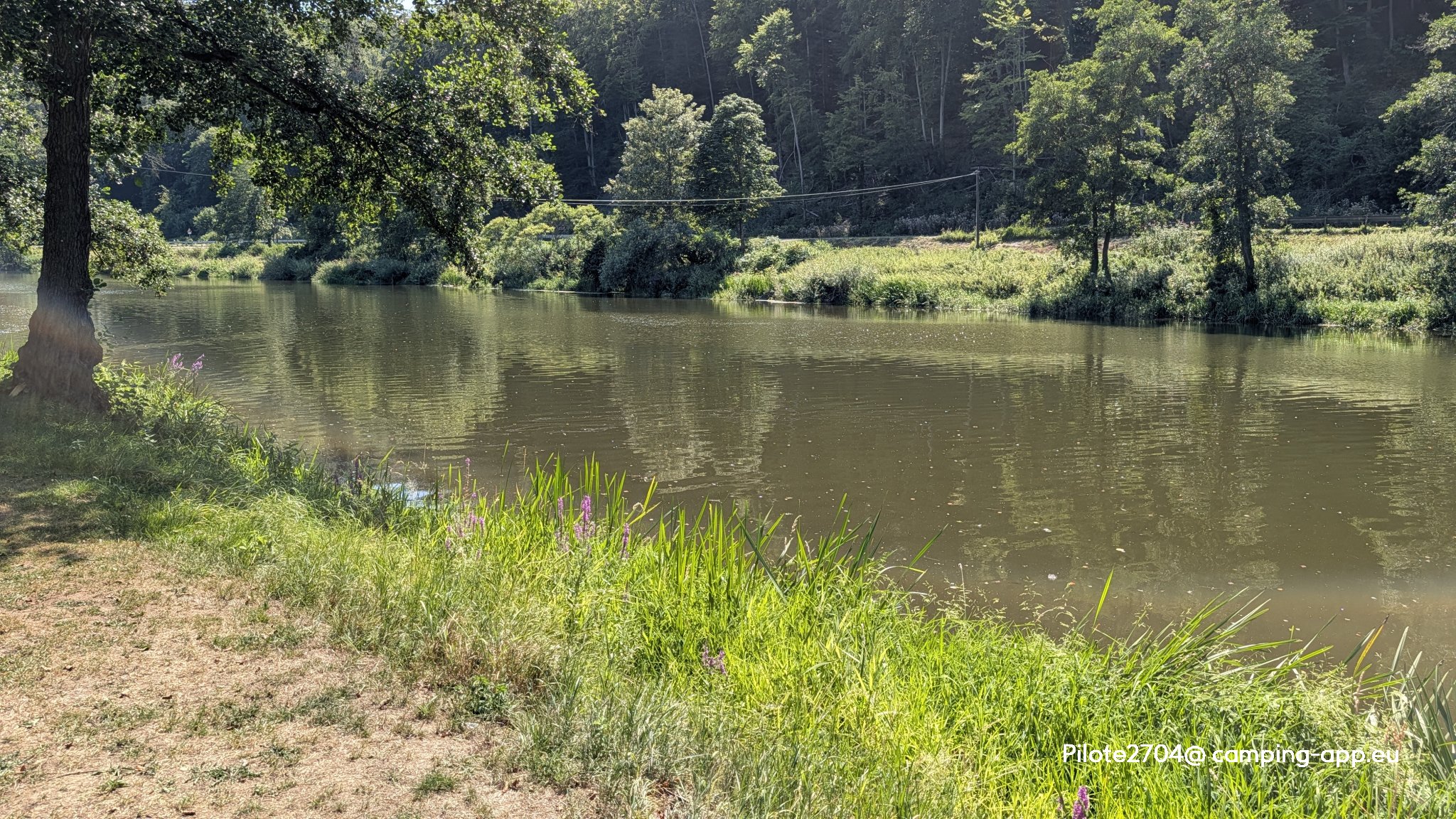 International Camping — Foto 5