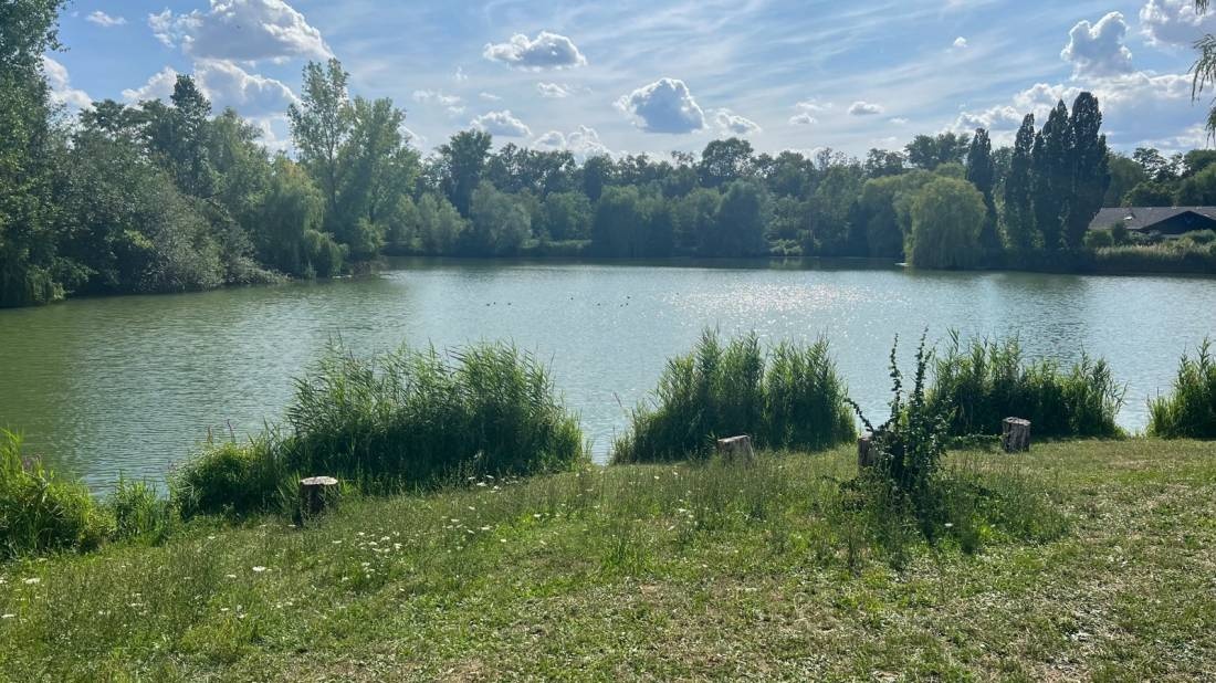 Sperrfechter Freizeitpark — Area da campeggio in Oedheim / Baden-Württemberg