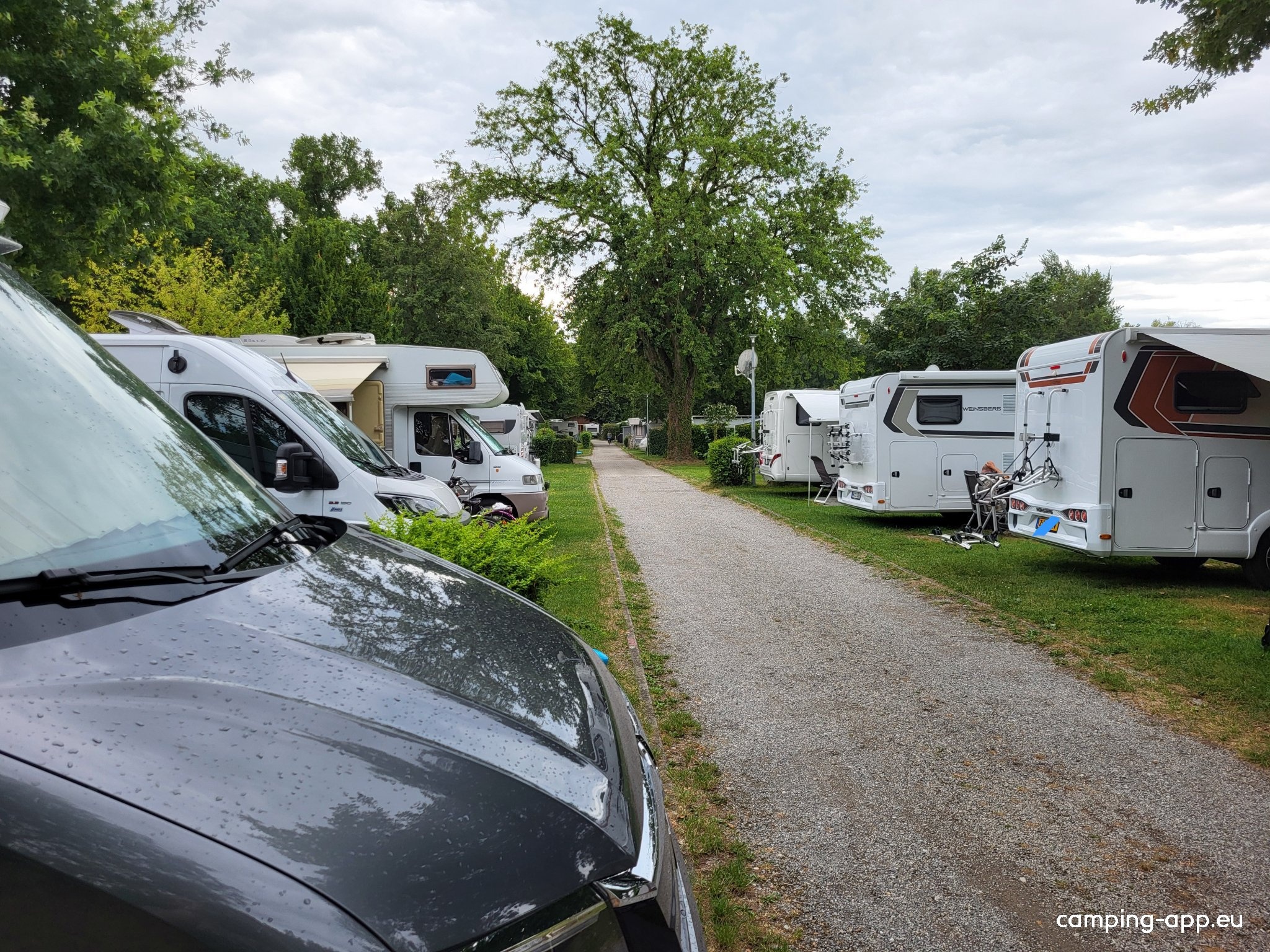 Campingplatz Iriswiese am Bodensee — Sítio de acampamento in Kressbronn / Baden-Württemberg