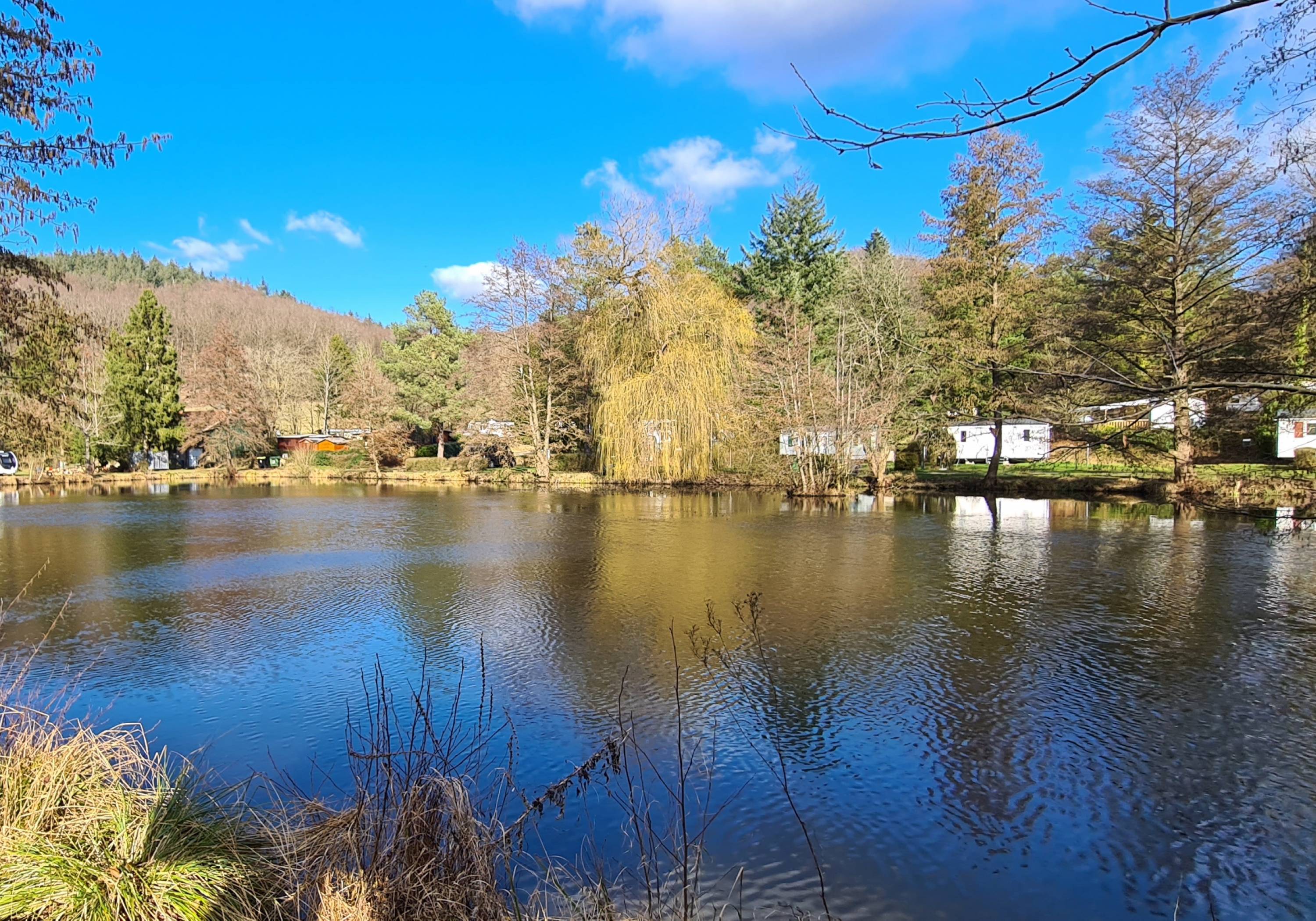 Naturresort Waldglück — Camping in Sippersfeld / Rheinland-Pfalz
