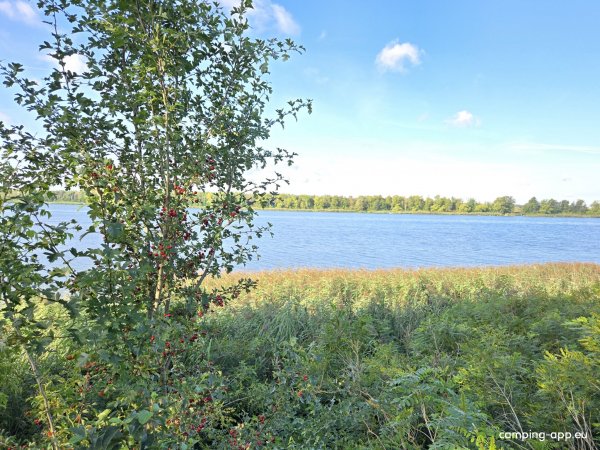 Heide-Camp Schlaitz — Photo 6