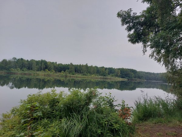 Bergwitzsee Resort — Photo 4