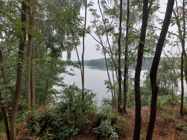 Bergwitzsee Resort — Photo 5