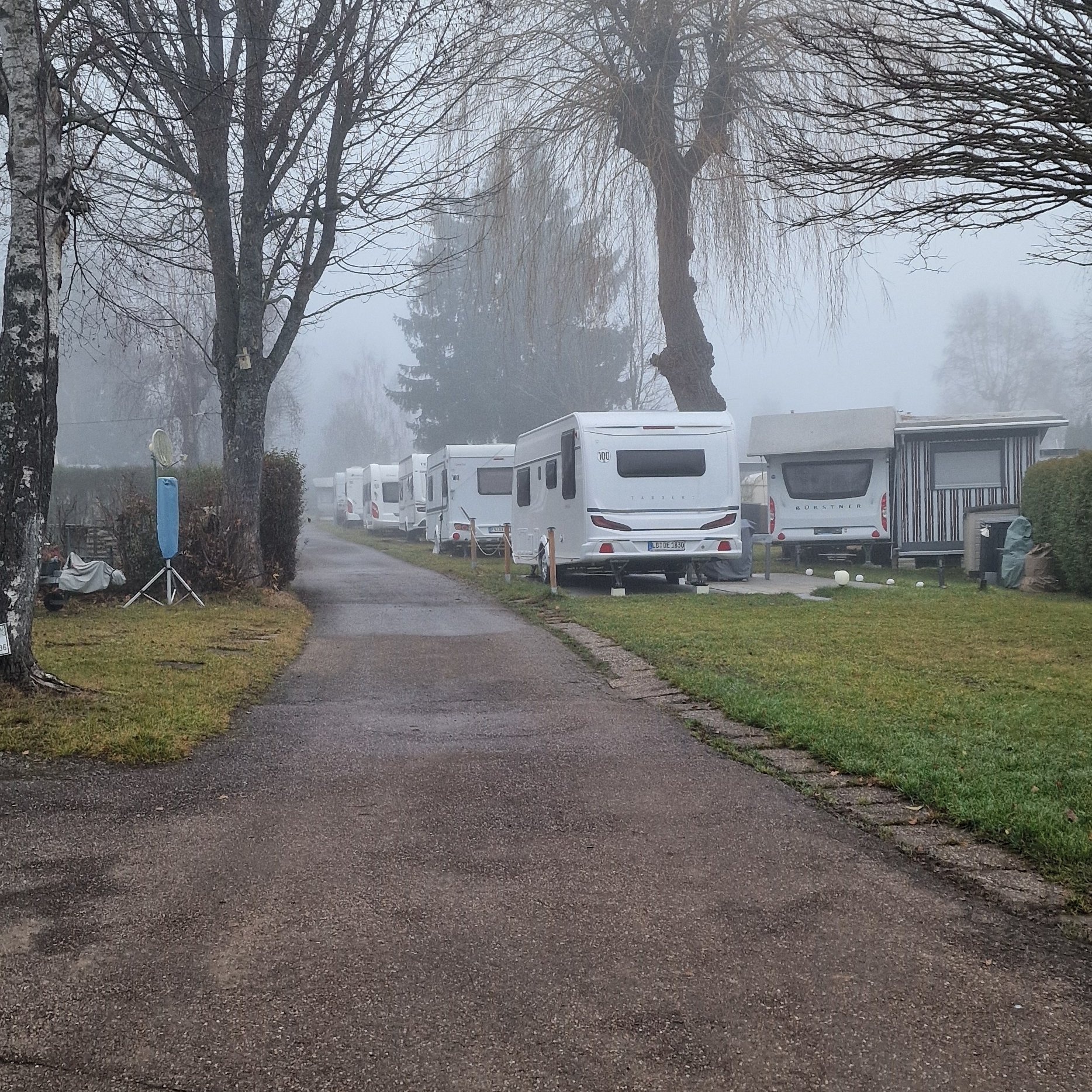 International Camping Schwarzwald — Camping in Neuhausen/Schellbronn 