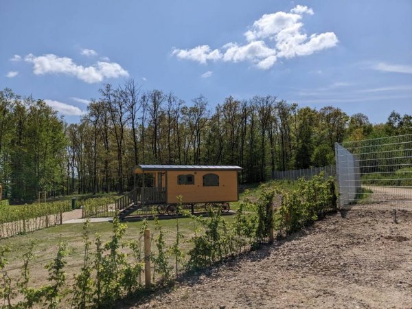 Eifel-Camp — Photo 4