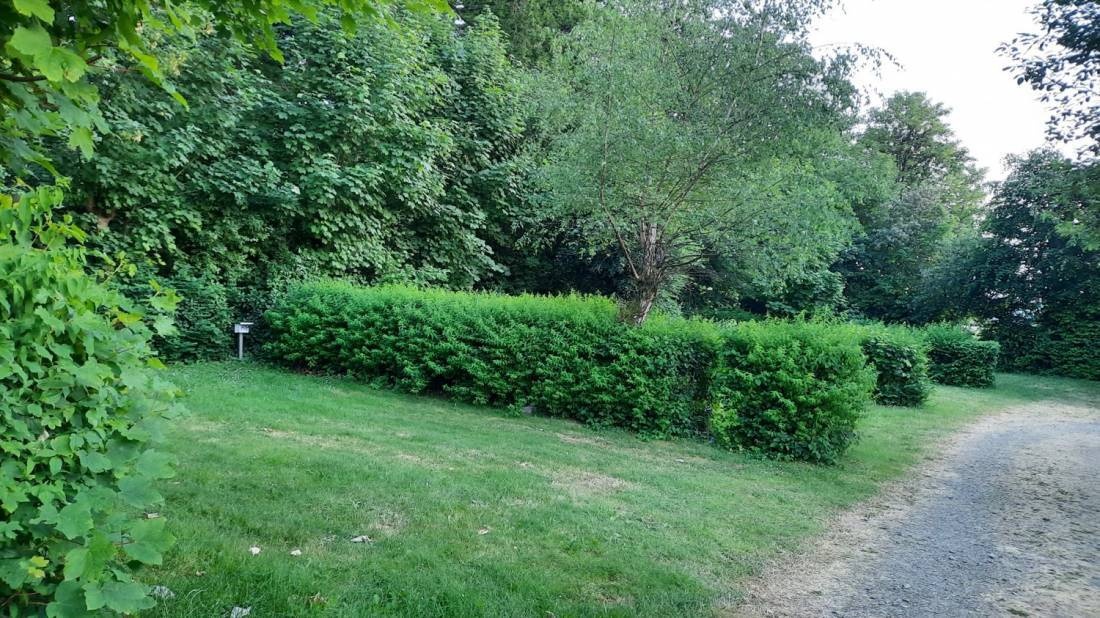 Campingpark Waldwiesen — Kemp in Birkenfeld