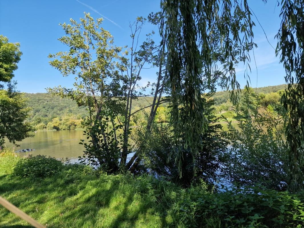 AZUR Camping Wertheim — Area da campeggio in Wertheim/Bestenheid 
