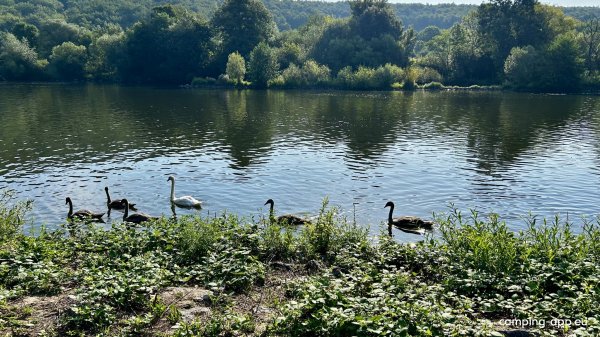AZUR Camping Wertheim — Foto 5