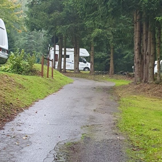 Campingplatz im Waldwinkel — Fotografie 3