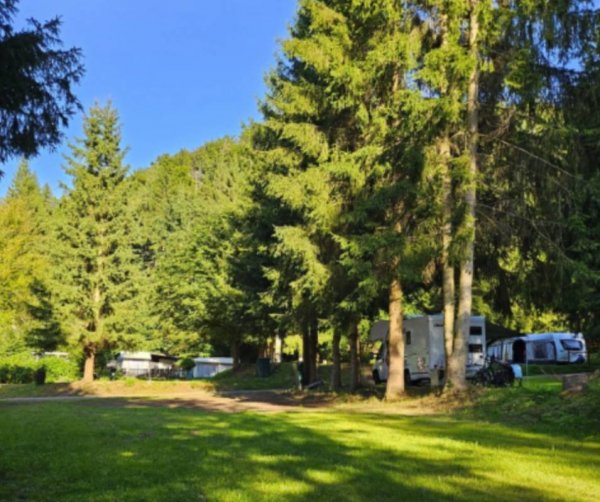 Campingplatz im Waldwinkel — Fotografie 5