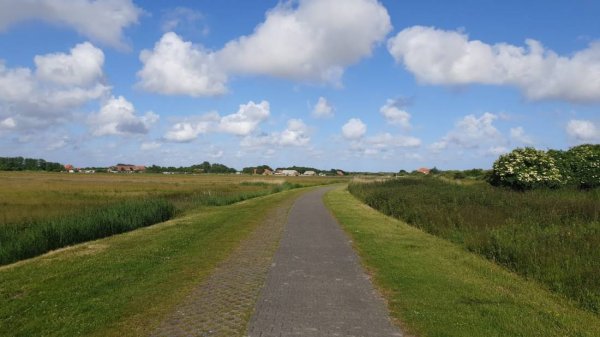 Klaas Aggen — Photo 2