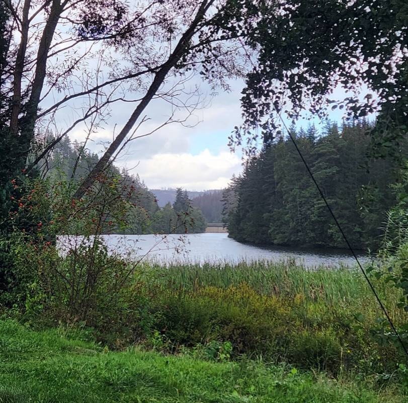Campingplatz Okertalsperre — Kamp yeri in Altenau / Niedersachsen
