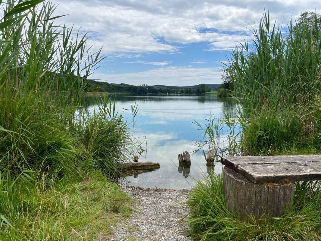 Camping Seewiese — 露营地 in Illmensee 