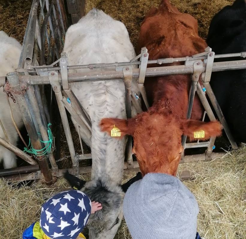 Campingplatz Schwarzfelder Hof — Sítio de acampamento in Leipheim 