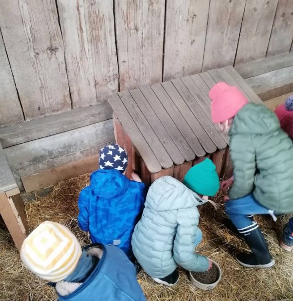 Campingplatz Schwarzfelder Hof — Photo 2