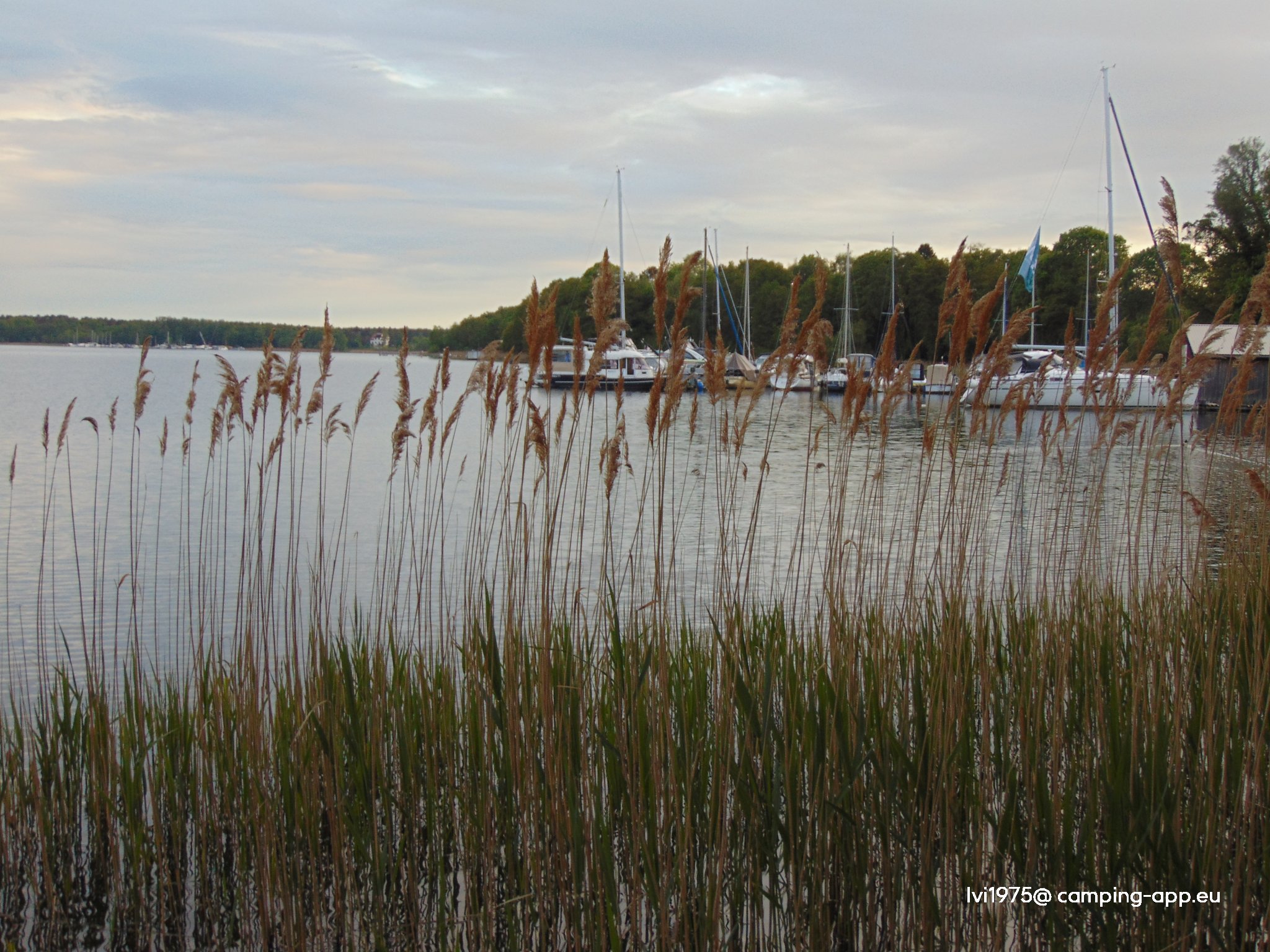 Camping Schwarzhorn am Scharmützelsee — Foto 4