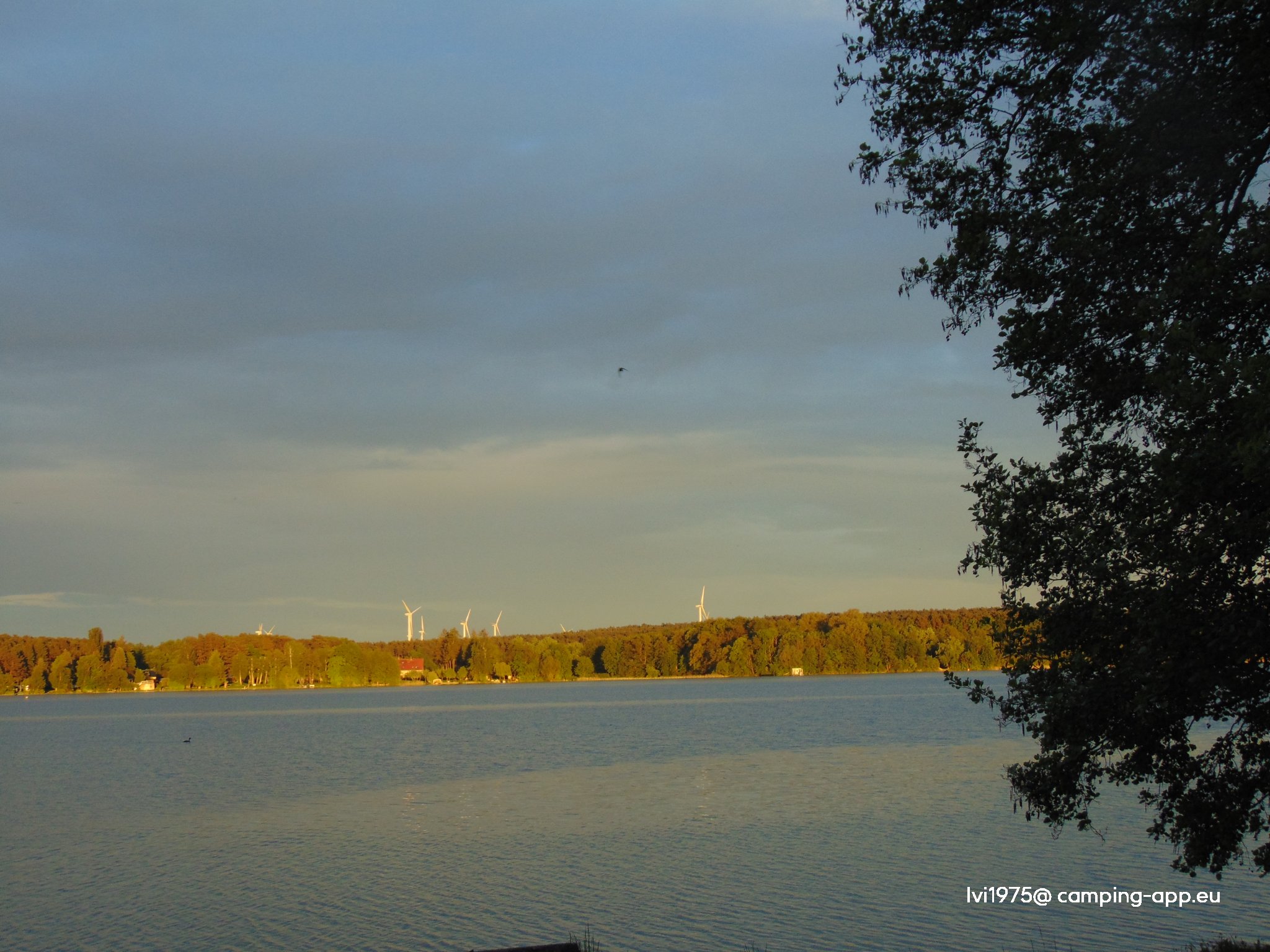 Camping Schwarzhorn am Scharmützelsee — Foto 5