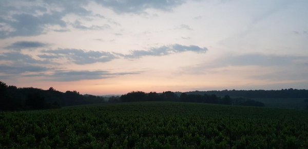 Camping Lindenau — Photo 6