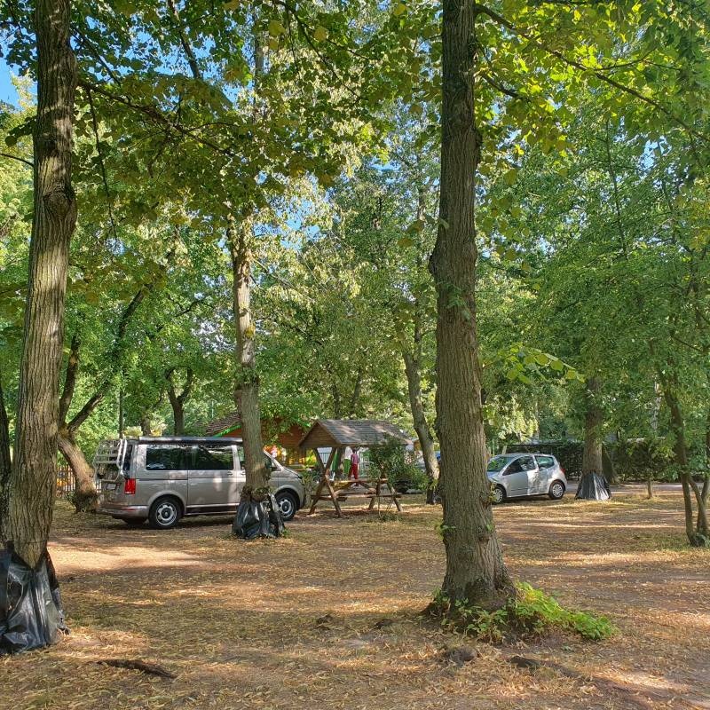 Seecamp Malge — Kamp yeri in Brandenburg/Malge
