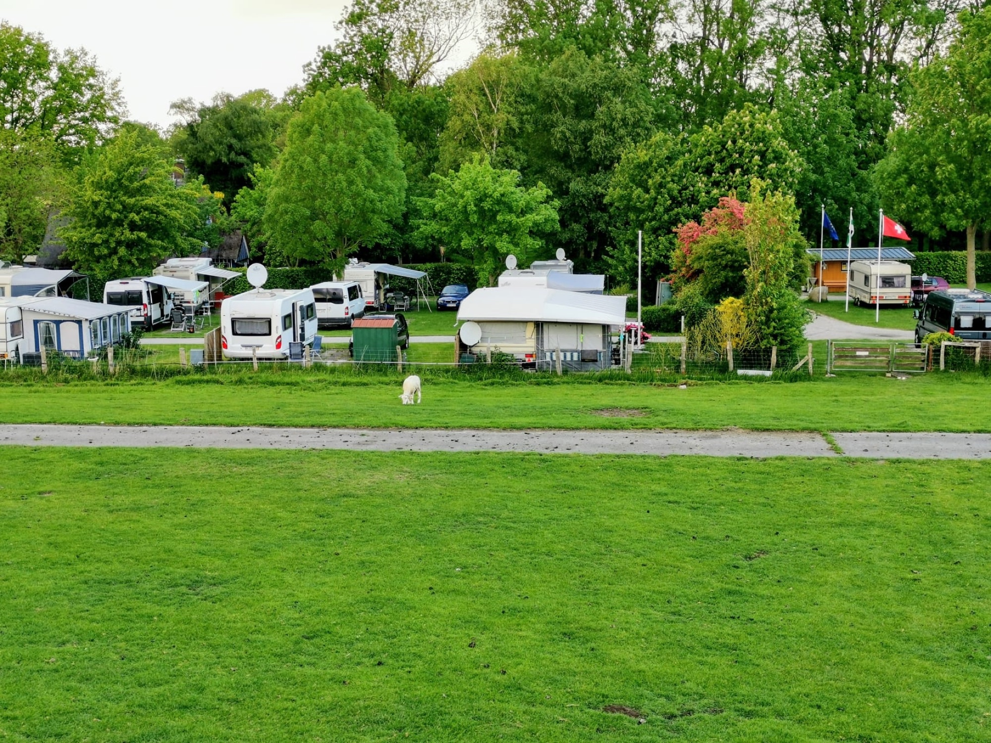 Elbdeich-Camping Kollmar — Cámping in Kollmar