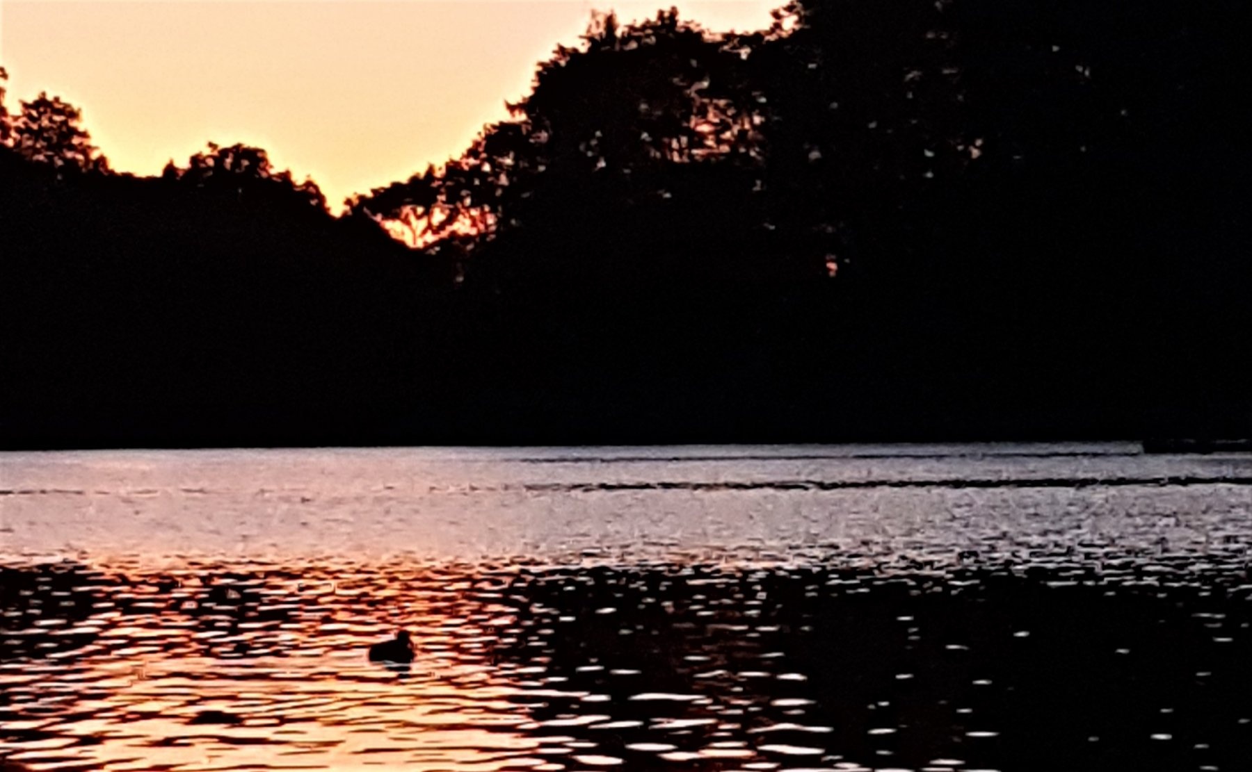 Camping Halbinsel Burg — Campingplads in Murnau/Seehausen / Bayern