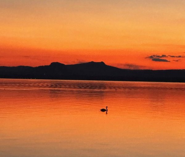 Camping Sandseele **** — Fotoğraf 6