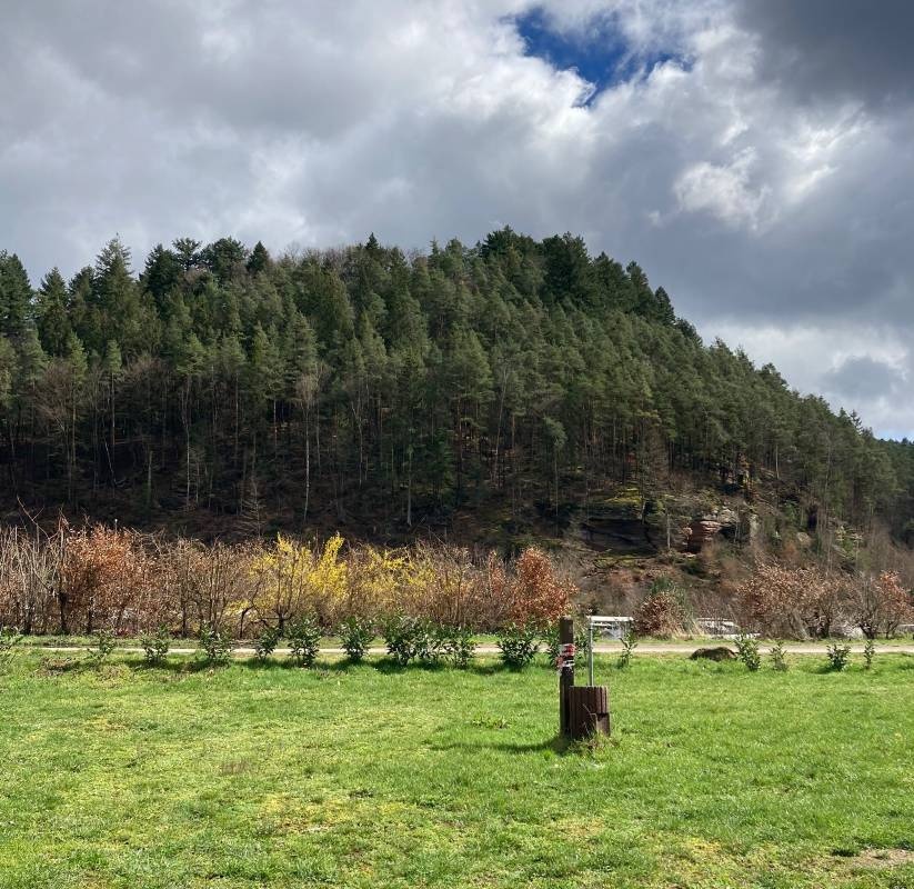 Campingplatz Moosbachtal — Kemp in Dahn