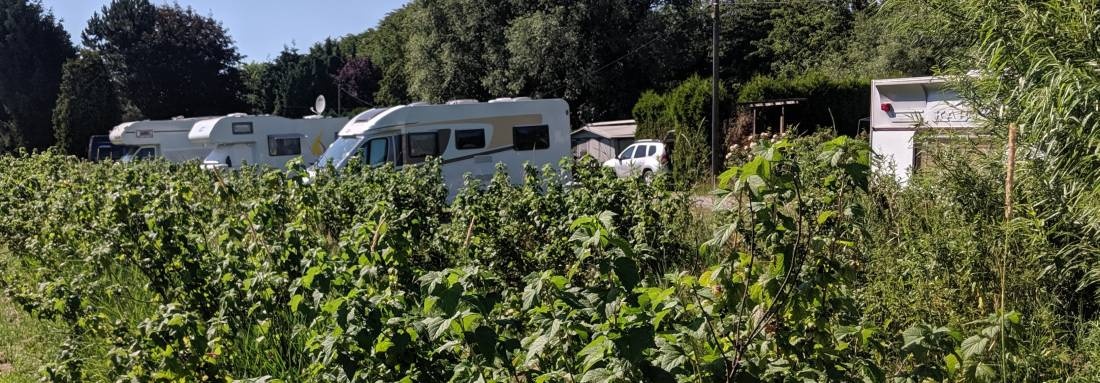 Campingplatz Neßhof — Campingplatz in Guderhandviertel 