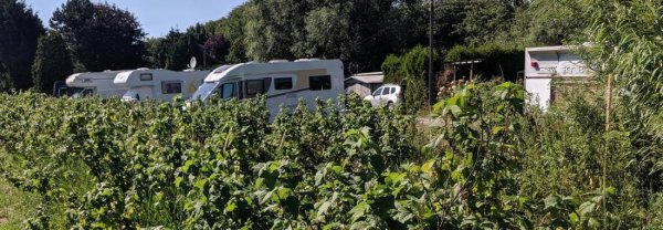 Campingplatz Neßhof — Foto 4