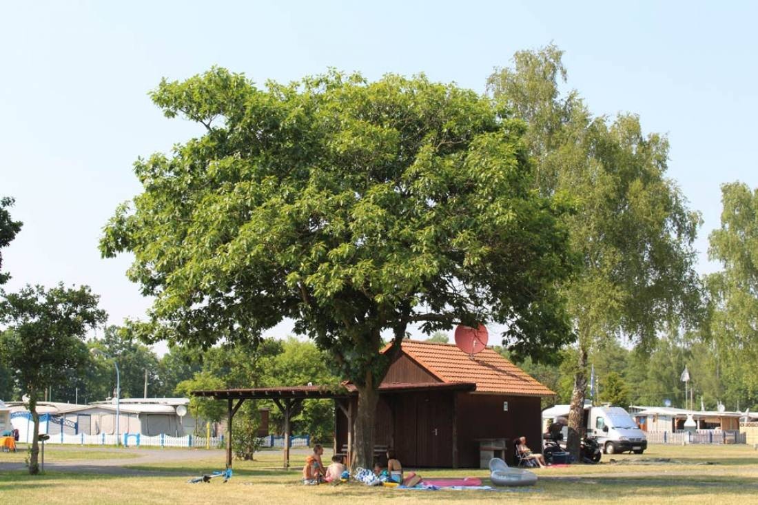 Erholungszentrum Neuental — Campingplads in Neuental 