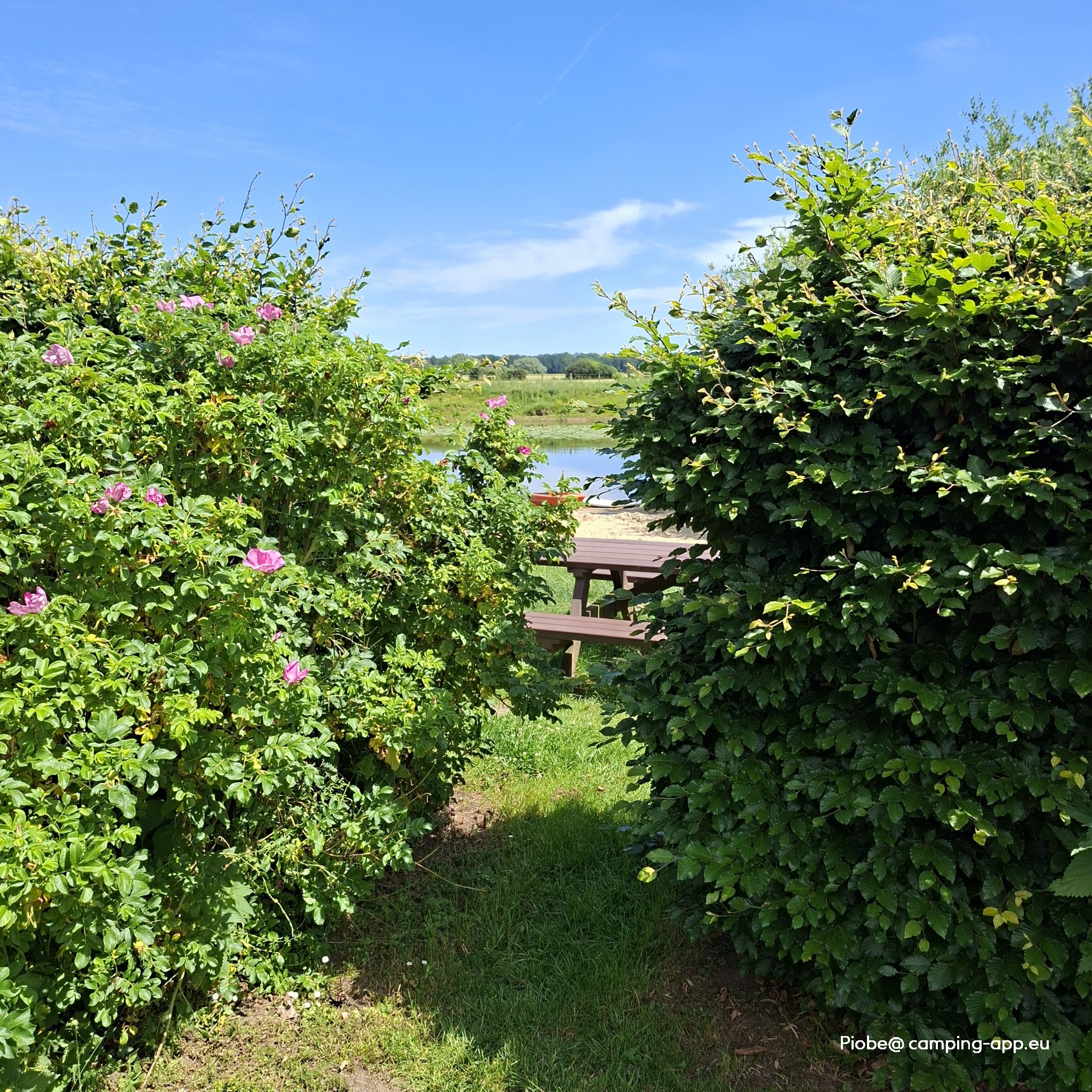 Camping Ahlden — Foto 3