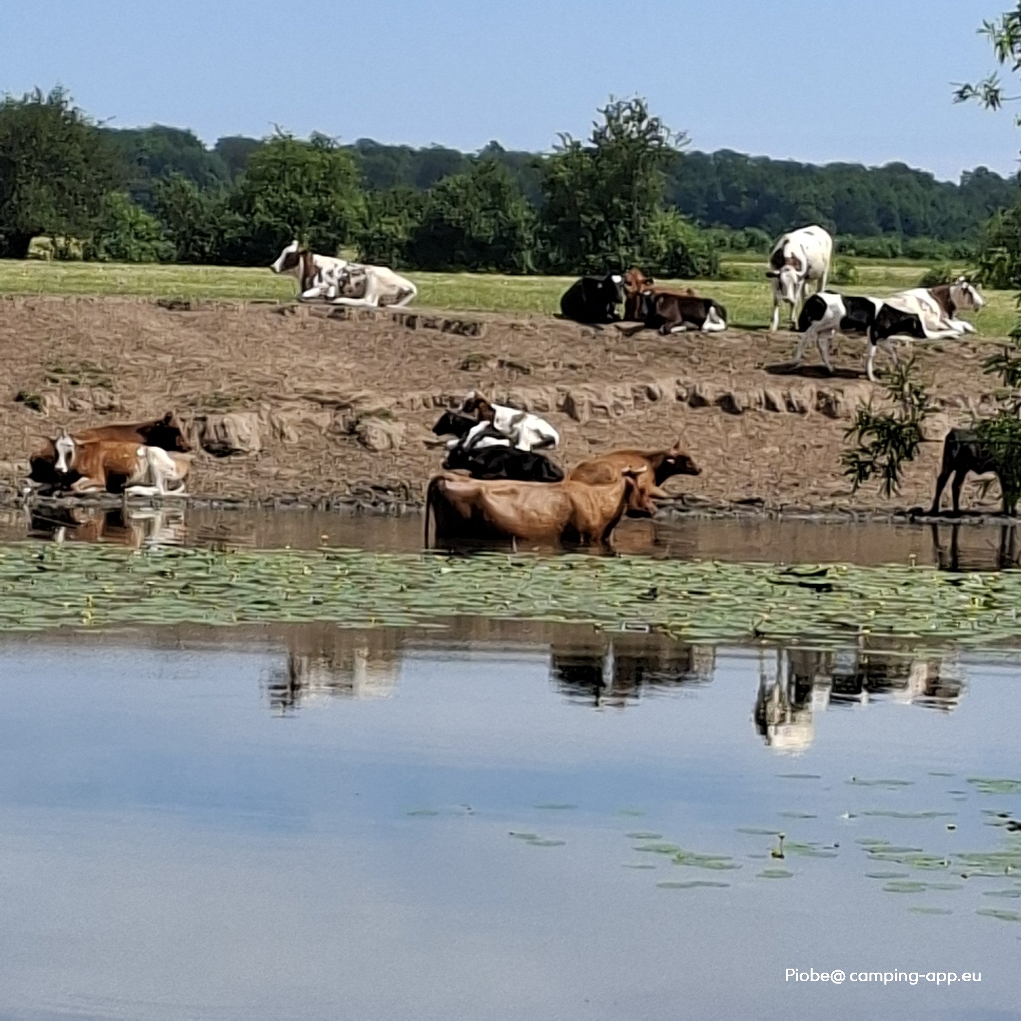 Camping Ahlden — Foto 5