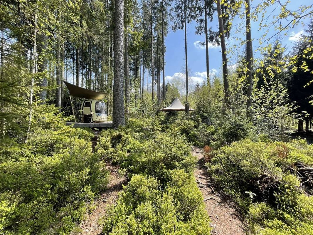 Schwarzwaldcamp — Camping Site in Schluchsee
