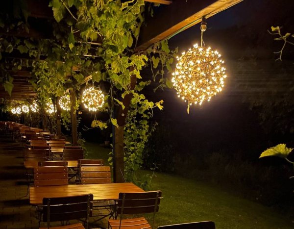 Ferieninsel Winningen — Photo 3