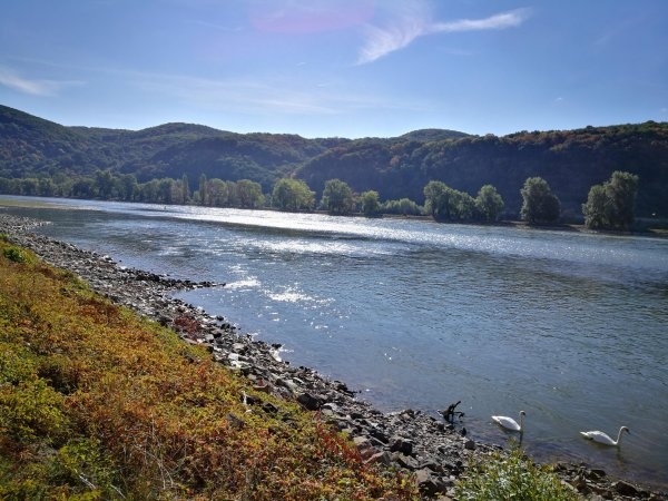 Campingpark Sonneneck — Sítio de acampamento in Boppard / Rheinland-Pfalz