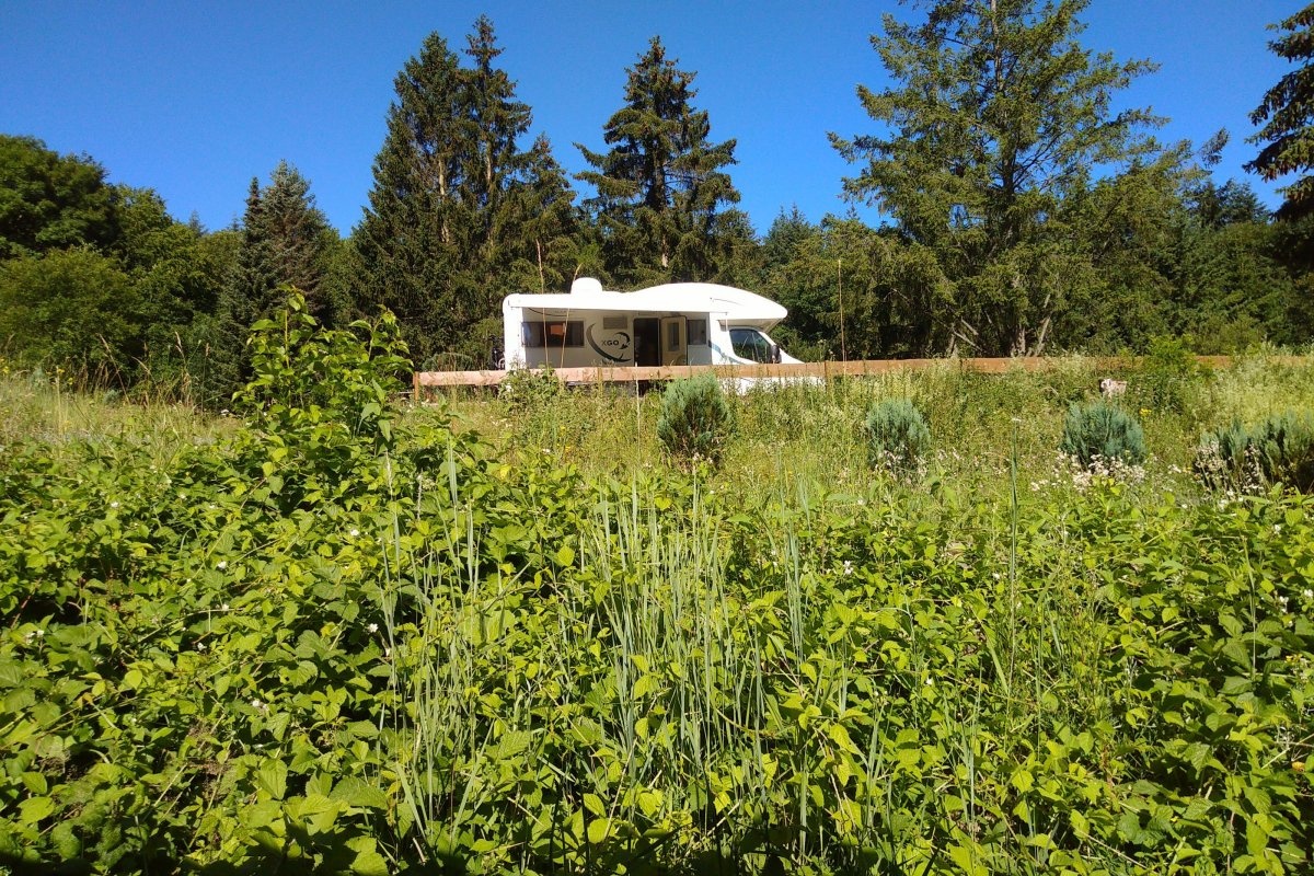 Waldcamp Meerbornsheide — Camping in Dillenburg / Hessen