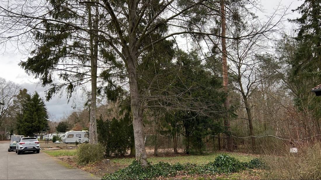 Campingplatz Astoria — Camping in Walldorf / Baden-Württemberg