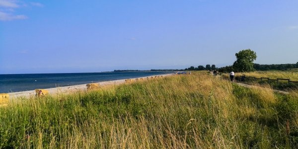 Ostseecamping Gut Oehe — Campingplats in Hasselberg