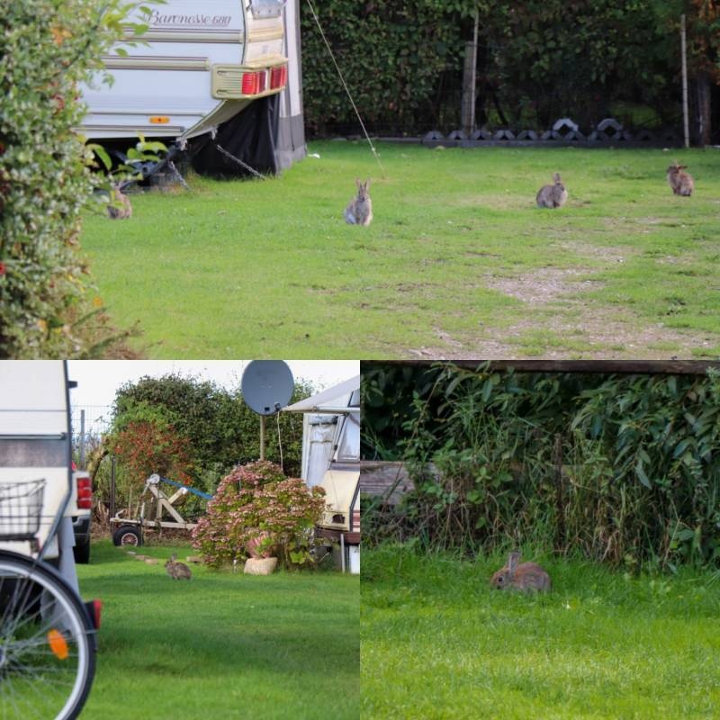 Campingplatz Seehof — Camping in Pommerby / Schleswig-Holstein
