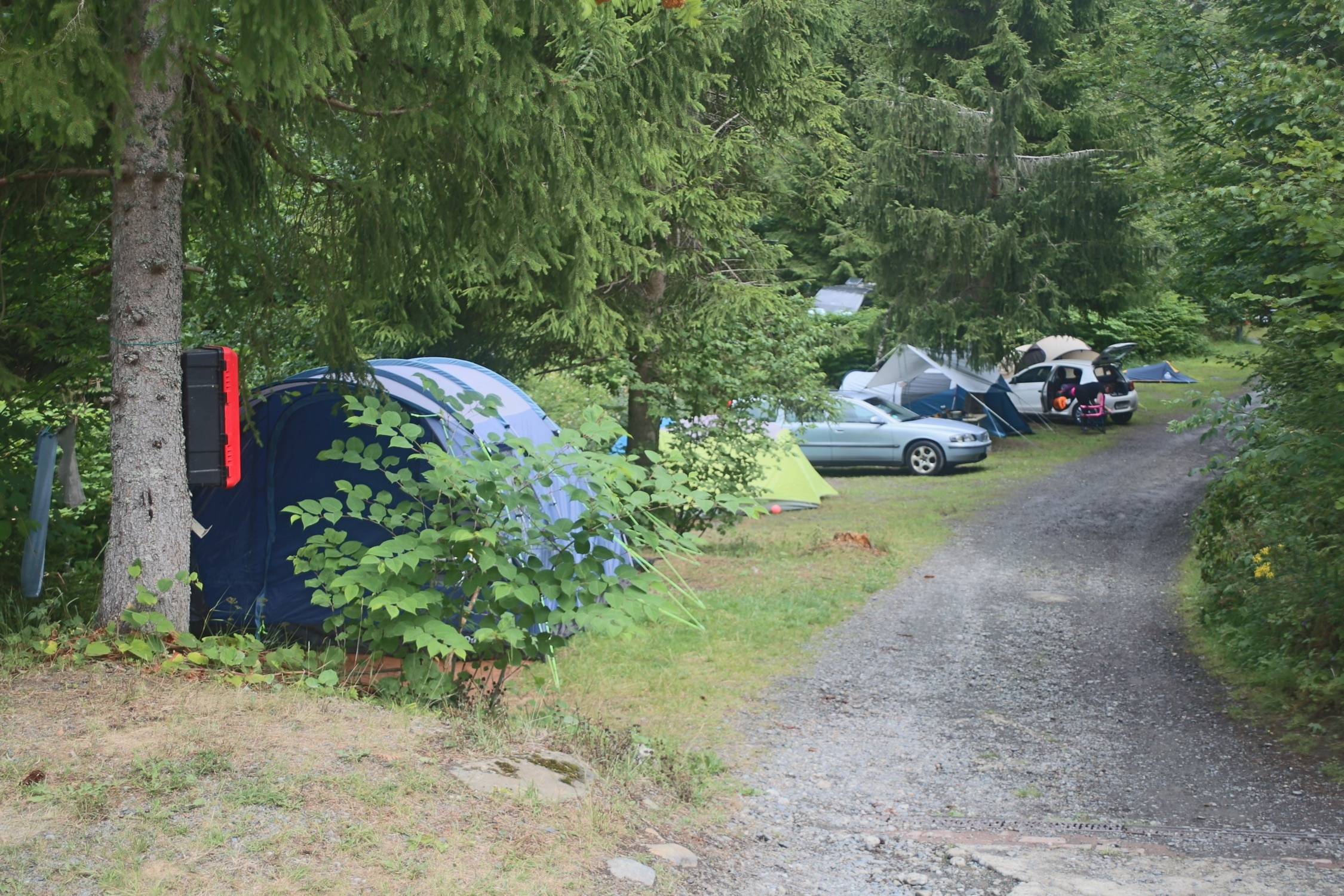 Waldcampingplatz Polstertal — Campingplatz in Altenau 