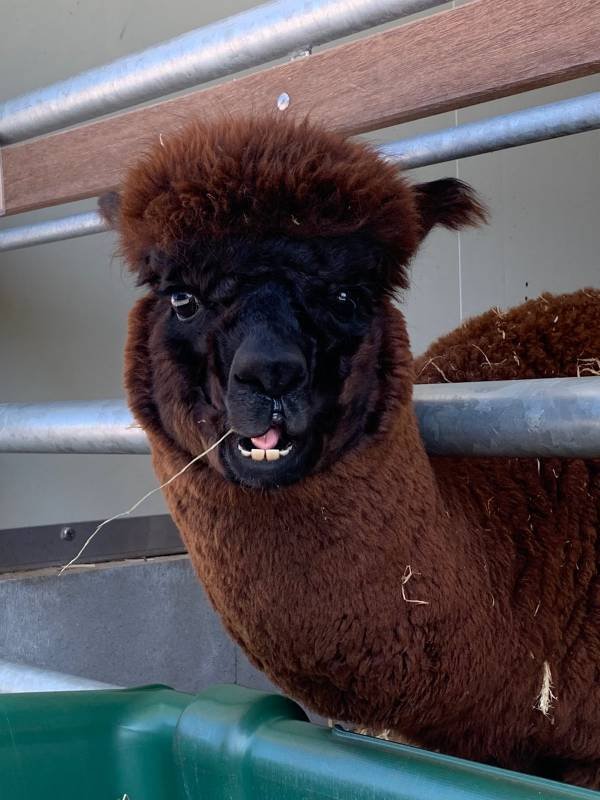 Campsite Zur Hasenkammer