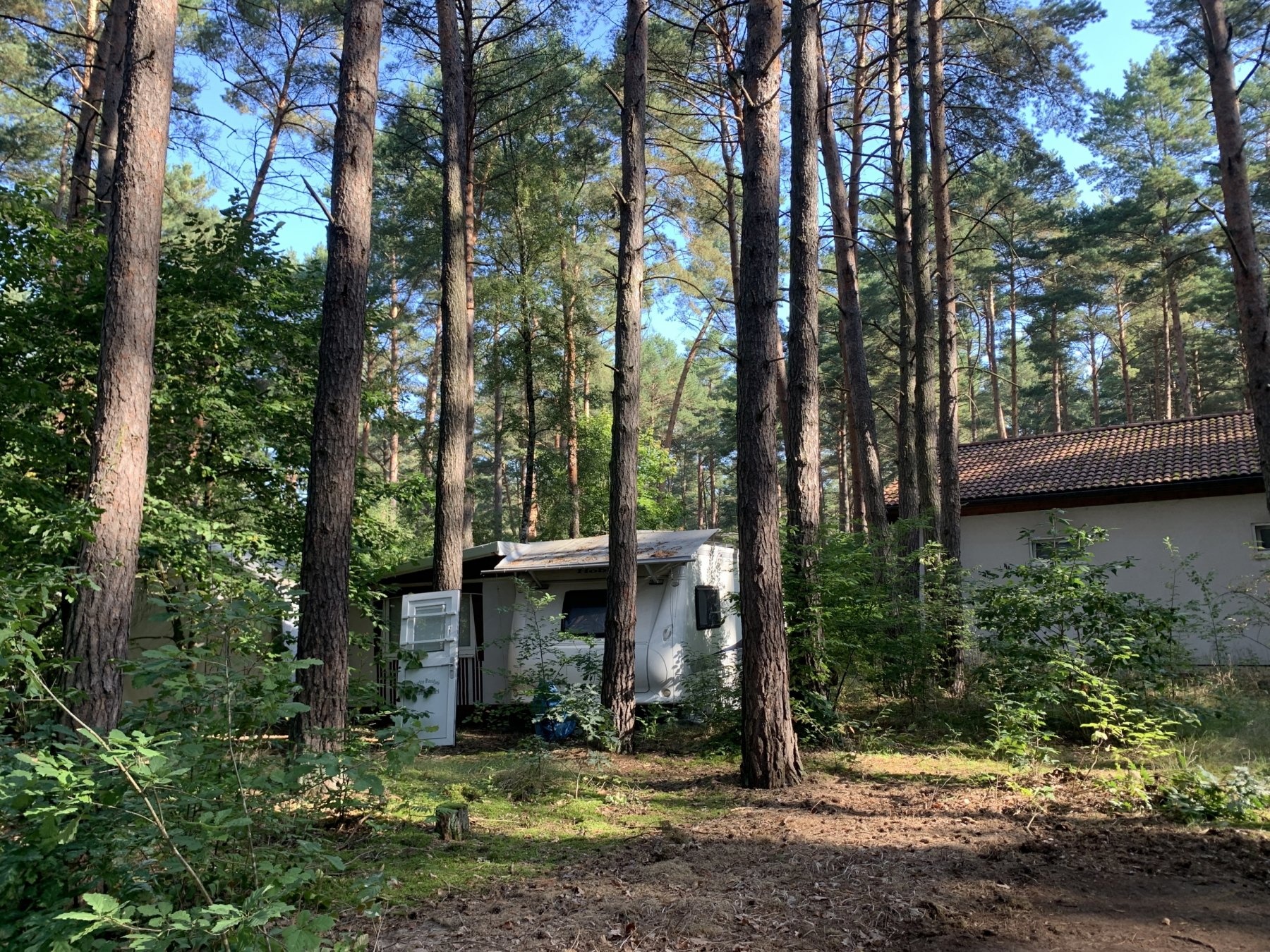 Wake & Camp — Kamp yeri in Marienwerder / Brandenburg